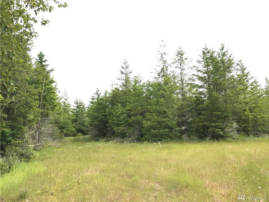 1-XX (Central) 173rd Ave - Photo 1