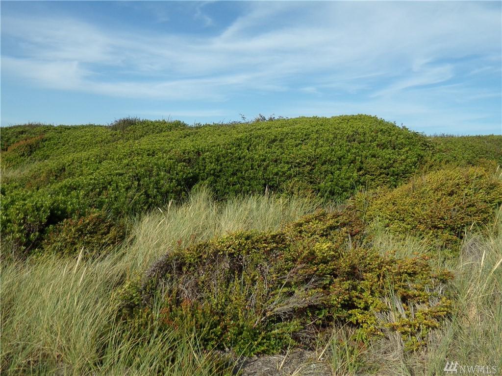 1226 Ocean Shores Blvd - Photo 1