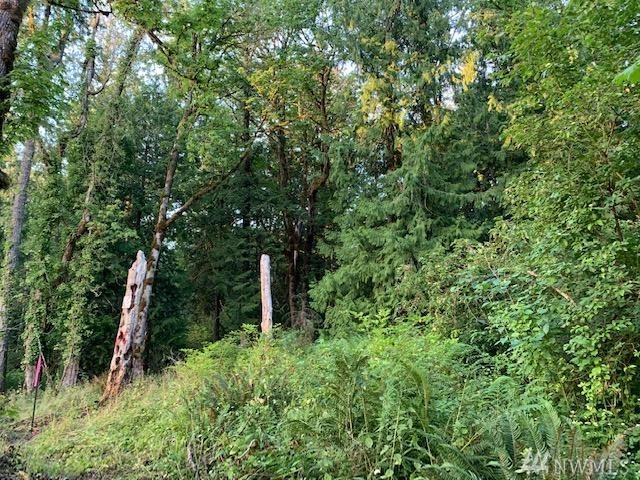 2301 Baby Doll Rd - Photo 1