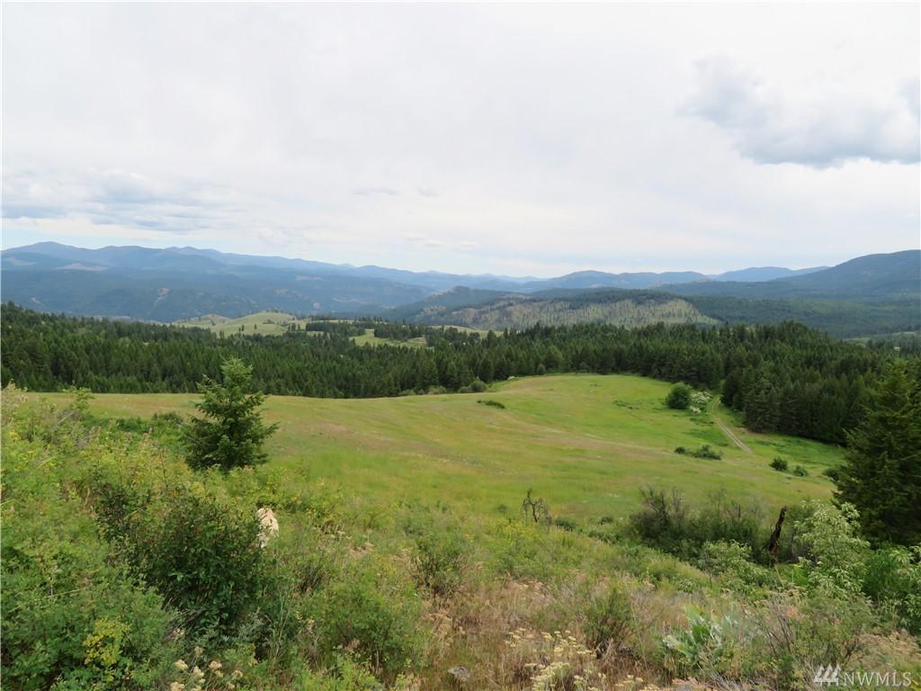 0-TBD Cougar Mt. Rd - Photo 1