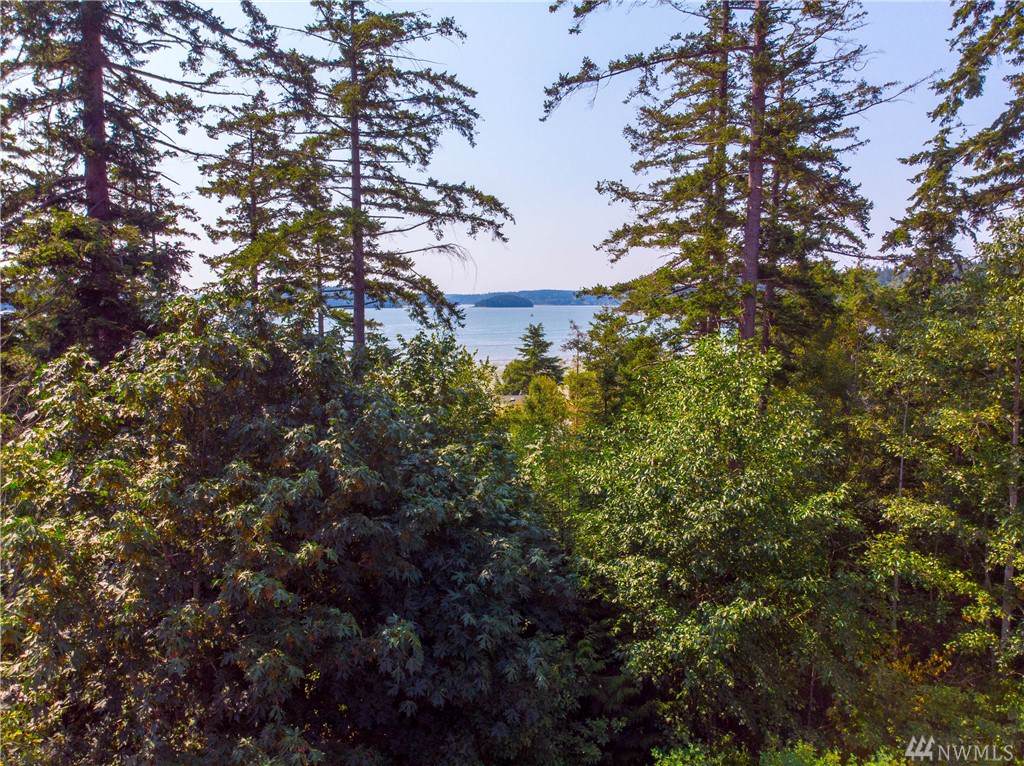 13444 Eagle Street - Photo 1