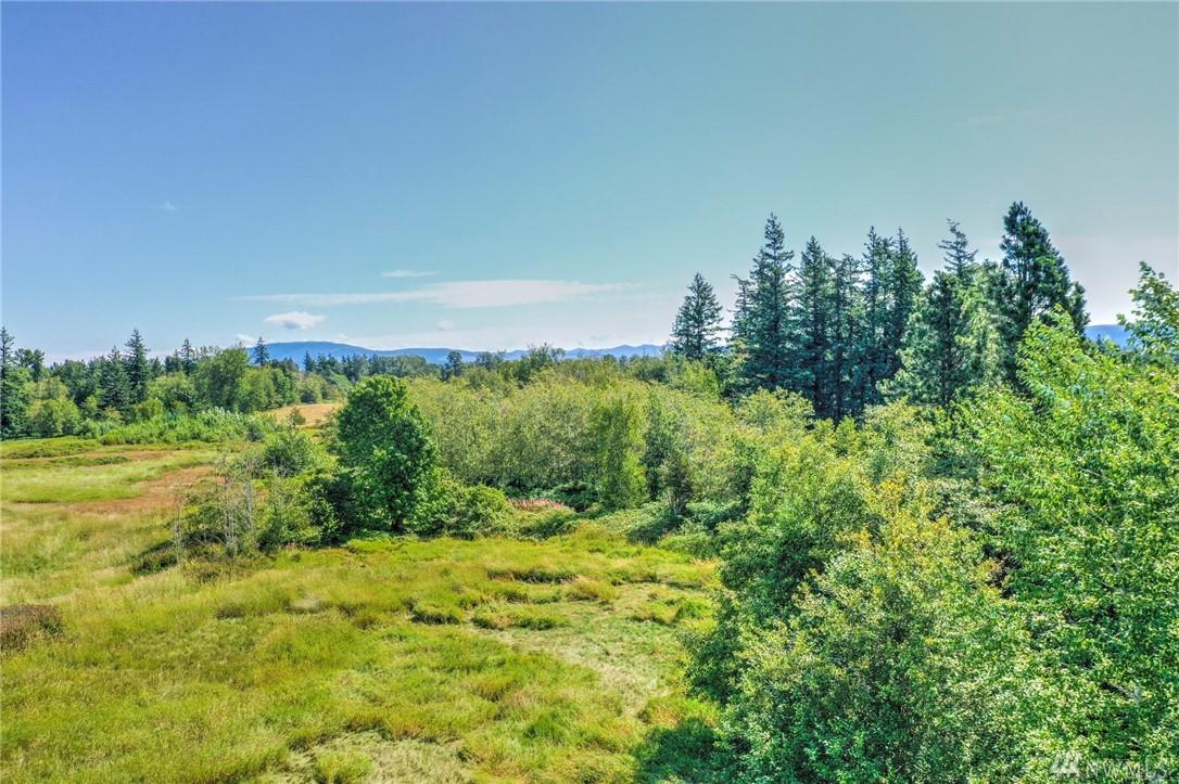 5446 Guide Meridian - Photo 1