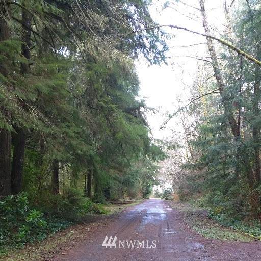 19 Willaview - Photo 1