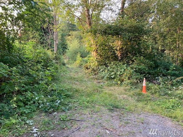 2355 Baby Doll Rd - Photo 1