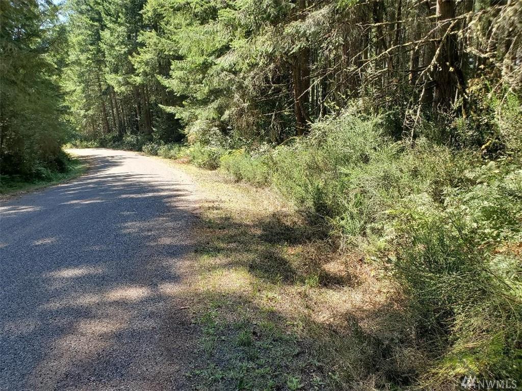 11004 Spruce Dr - Photo 1