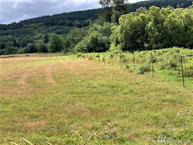 0-Lot 1& 4 Doty Dryad Rd - Photo 1