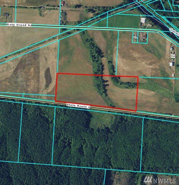 0-Lot 4 Doty Dryad Rd - Photo 1
