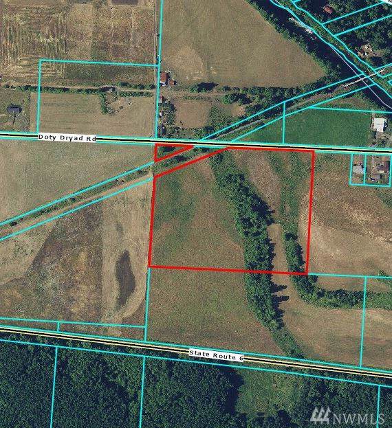0-Lot 1 Doty Dryad Rd - Photo 1