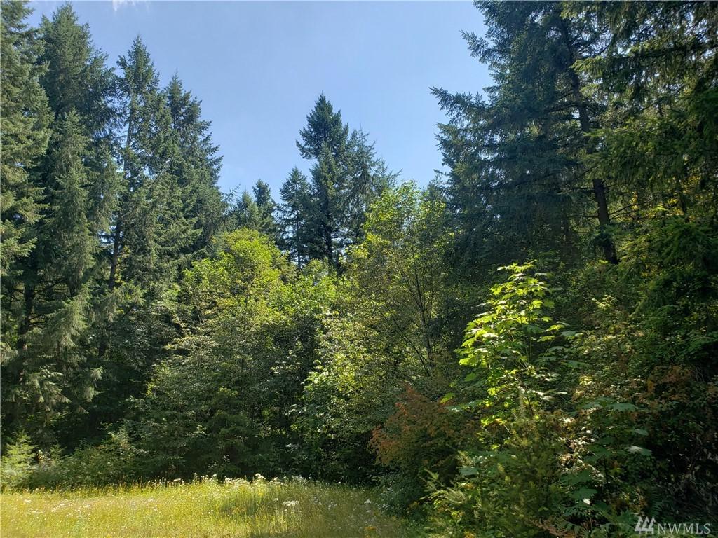17226 Bald Hill Rd - Photo 1