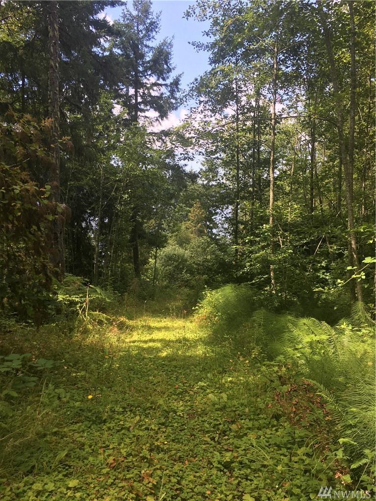 0-X Northshore Rd - Photo 1