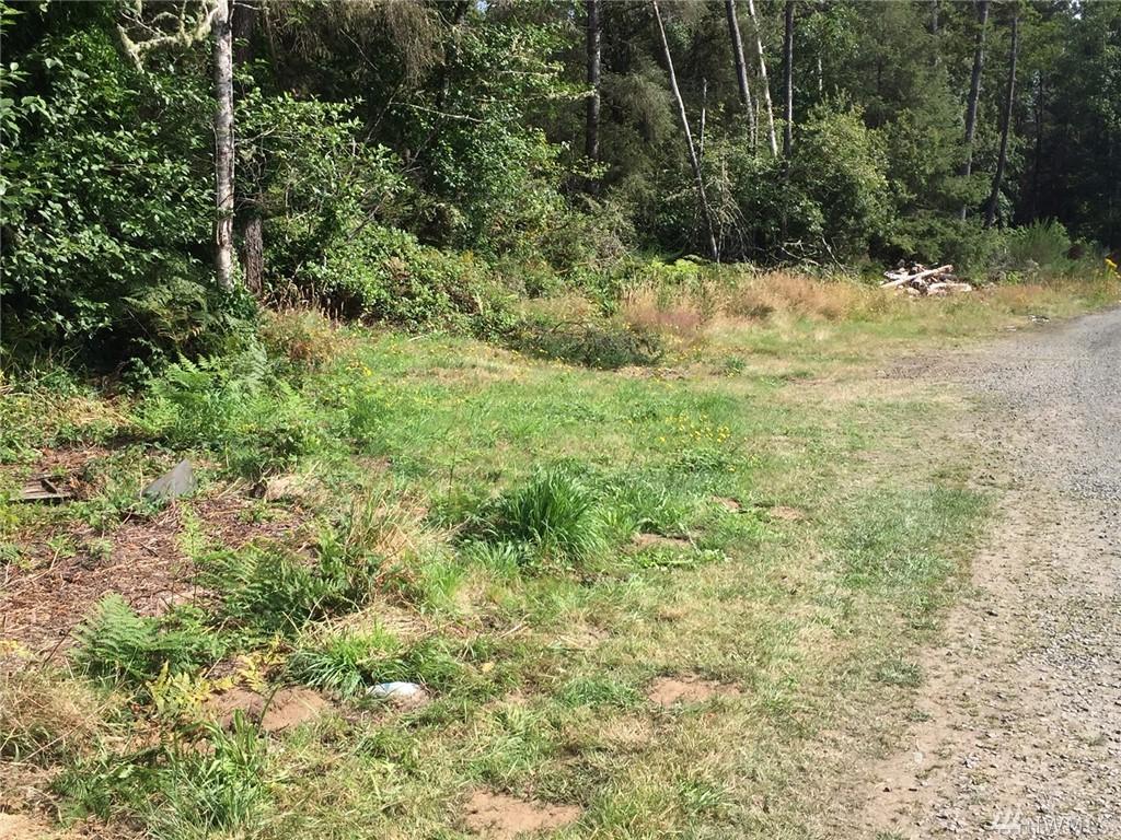 24773 V Lane - Photo 1