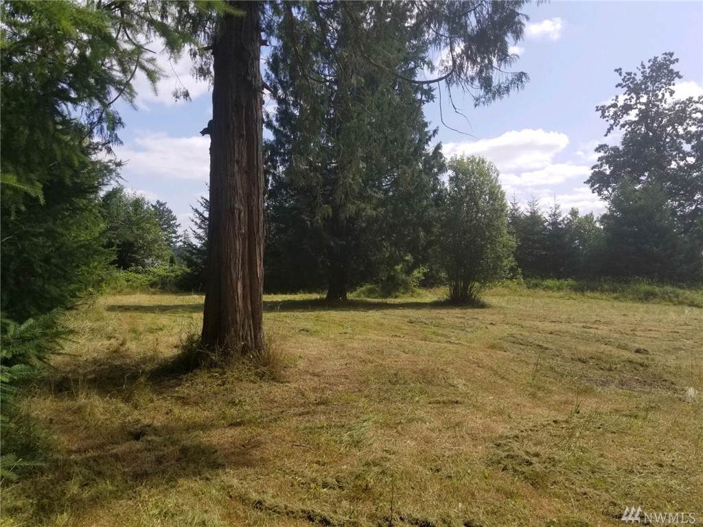 20809 Edwards Rd - Photo 1