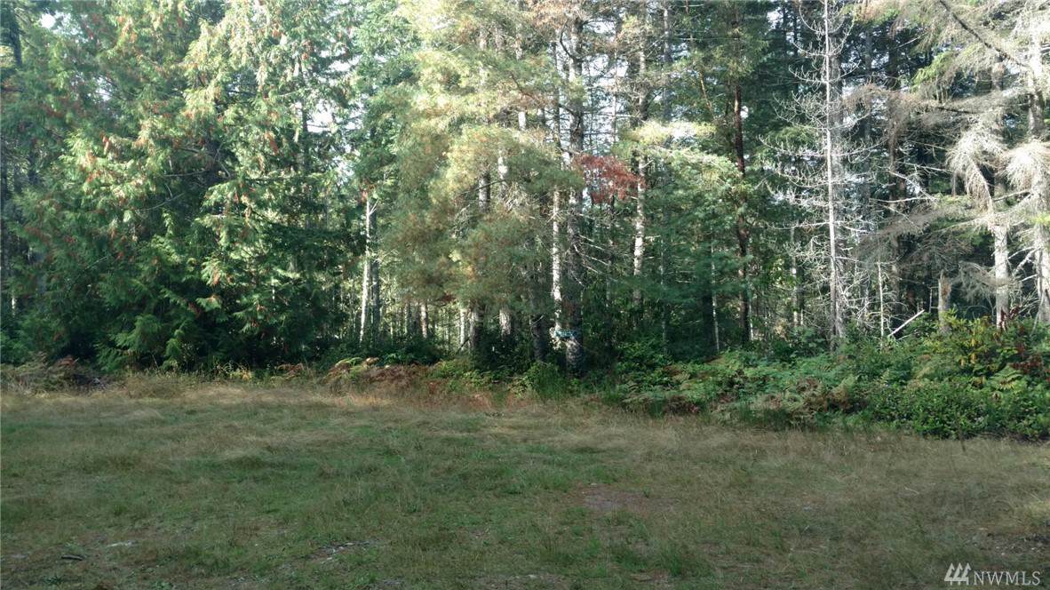 2483 Lost Creek Lane - Photo 1