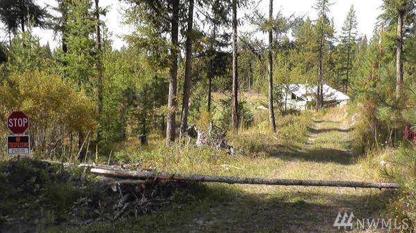 17 Rone Rd - Photo 1