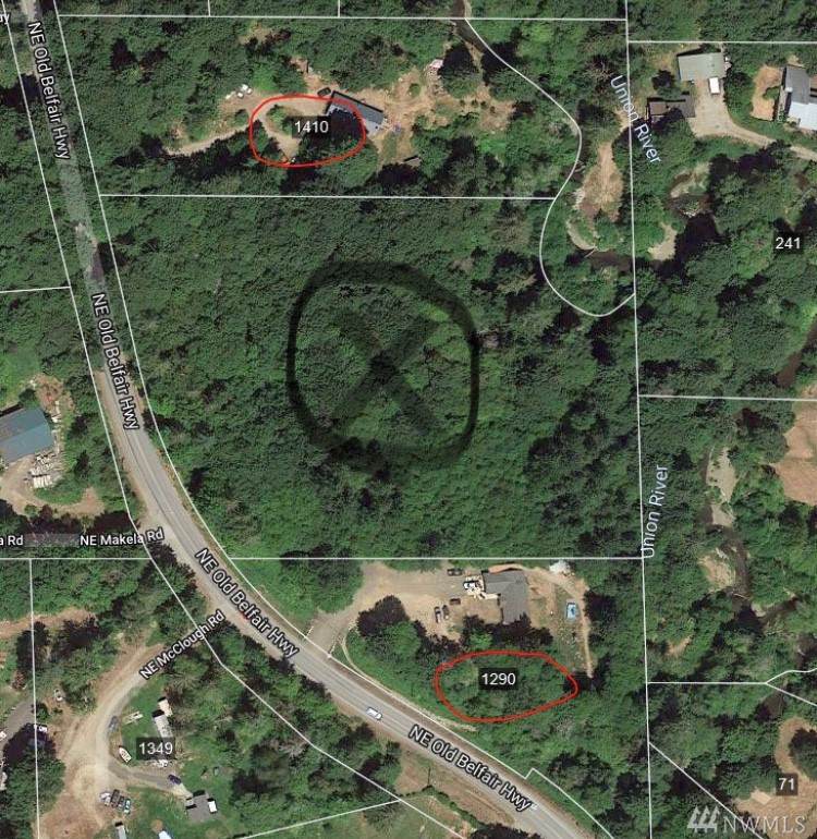 0 Old Belfair Hwy - Photo 1