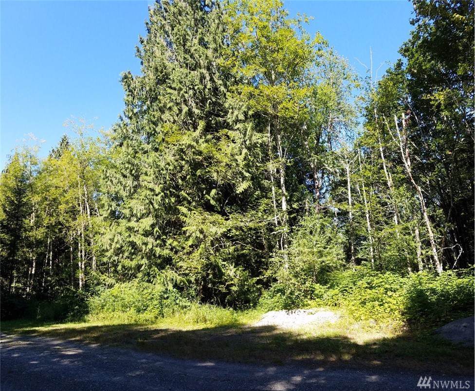 0 290th Ave - Photo 1