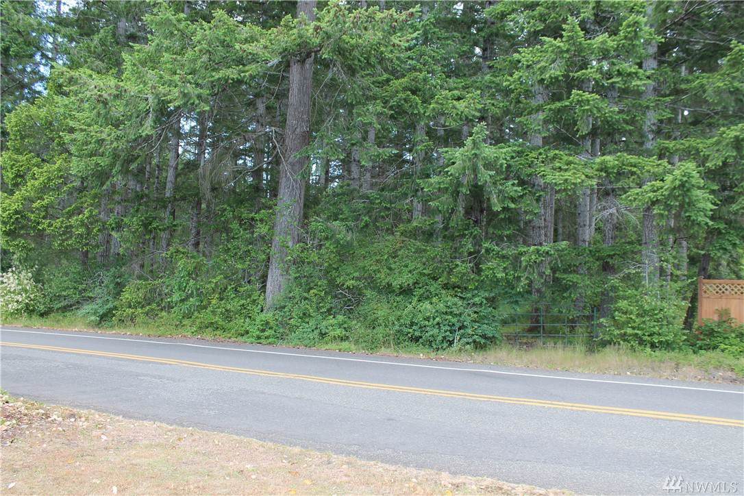 0-Lot 58 Island Lake Dr - Photo 1
