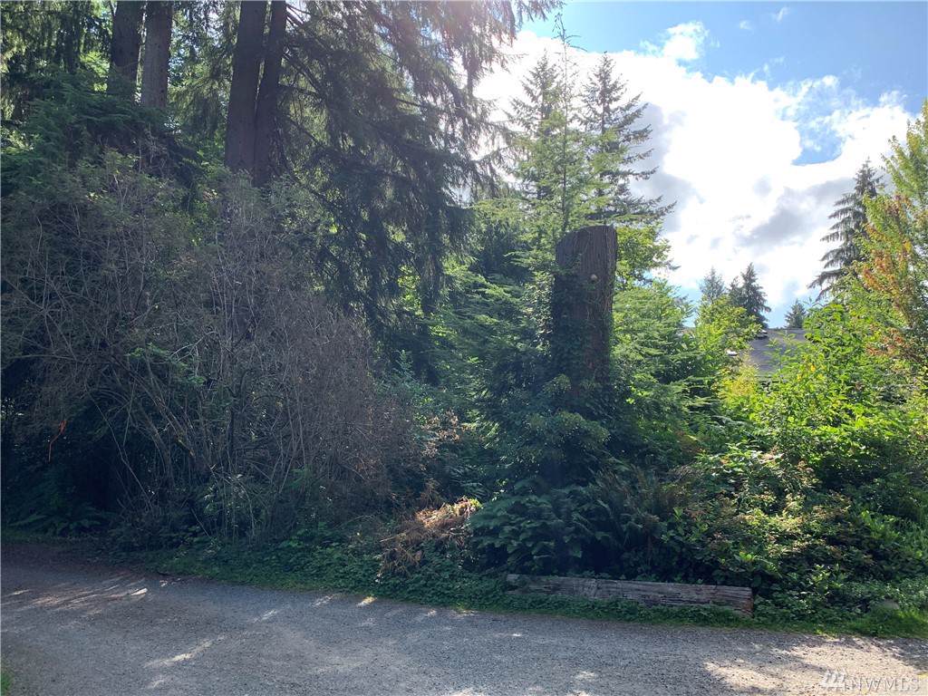 22115 Lost Lake Rd - Photo 1