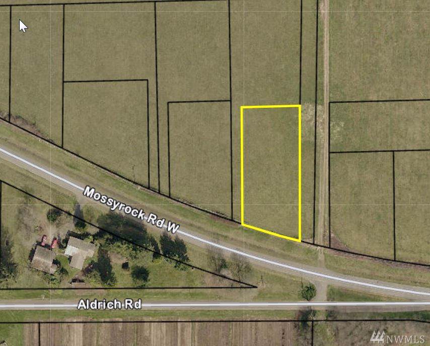 1-Lot 1 Mossyrock Rd - Photo 1