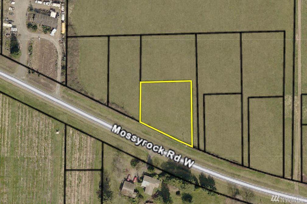 3-Lot 3 Mossyrock Rd - Photo 1