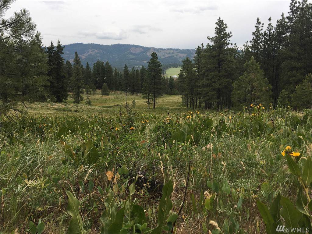 0 Off Hwy 970 - Photo 1