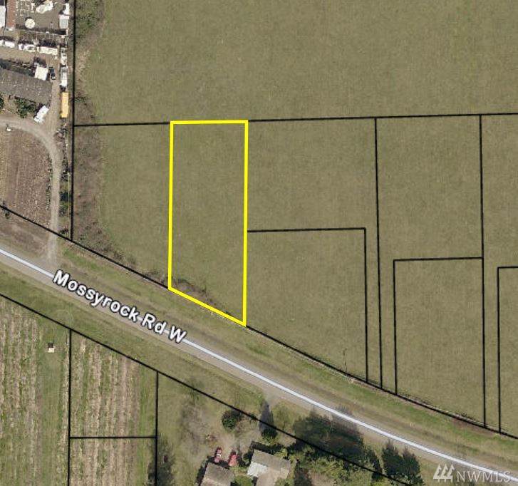 4-Lot 4 Mossyrock Rd - Photo 1