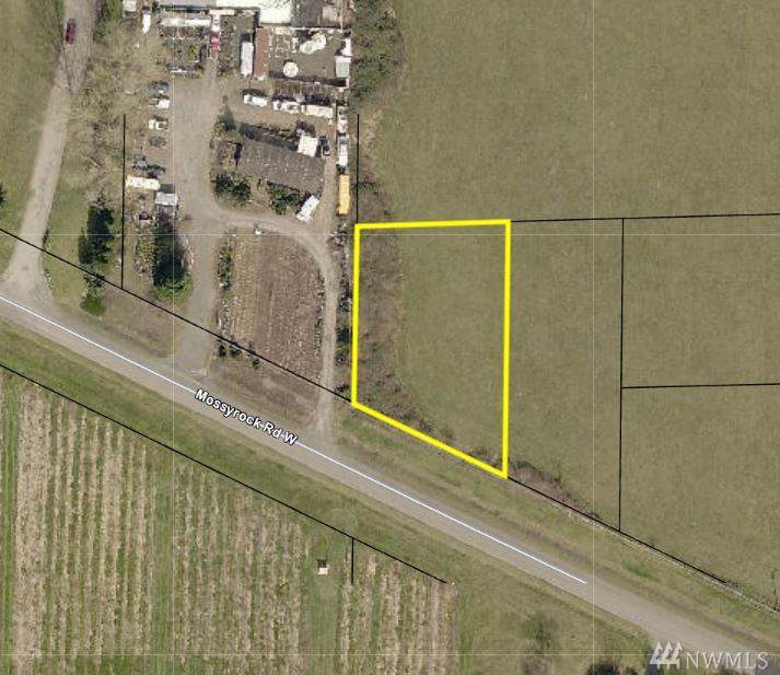 5-Lot 5 Mossyrock Rd - Photo 1