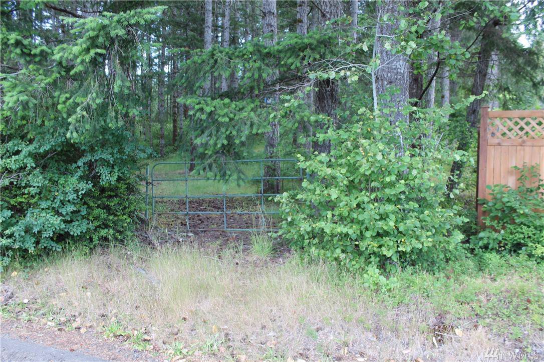 0-Lot 59 Island Lake Dr - Photo 1