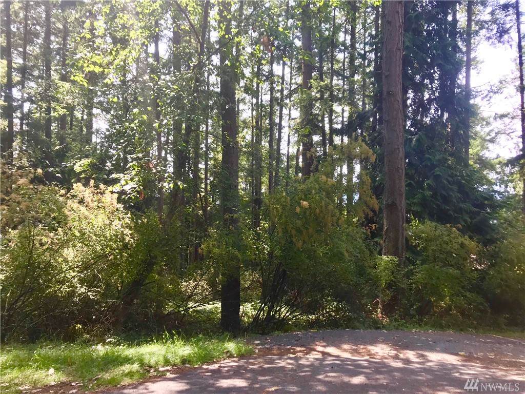 0 Madrona Dr - Photo 1
