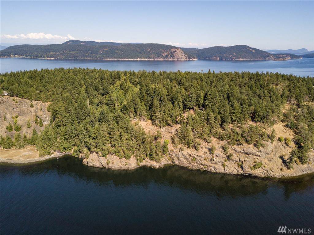 142 Red Cedar Rd - Photo 1