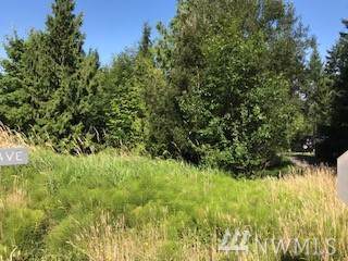 70 Young Ave - Photo 1