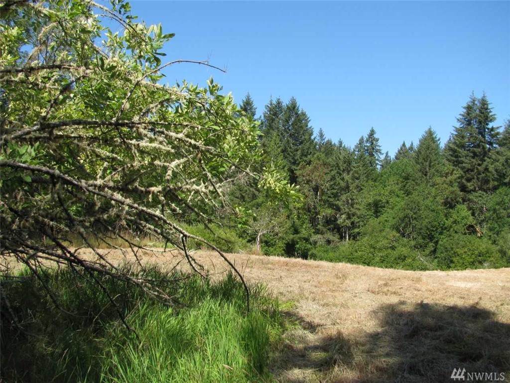 13408 Lovass Rd - Photo 1