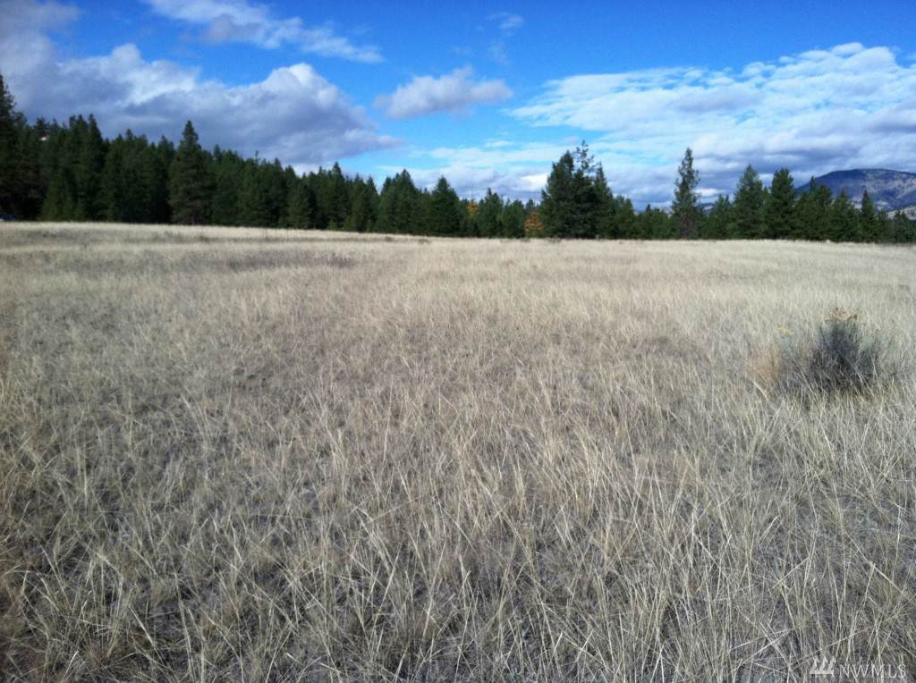 0 Tamarack Lane - Photo 1
