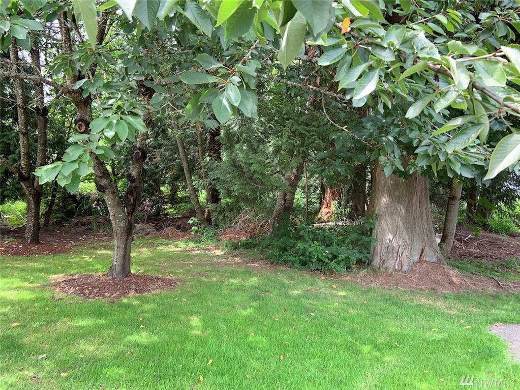 0 Semiahmoo Pkwy - Photo 1