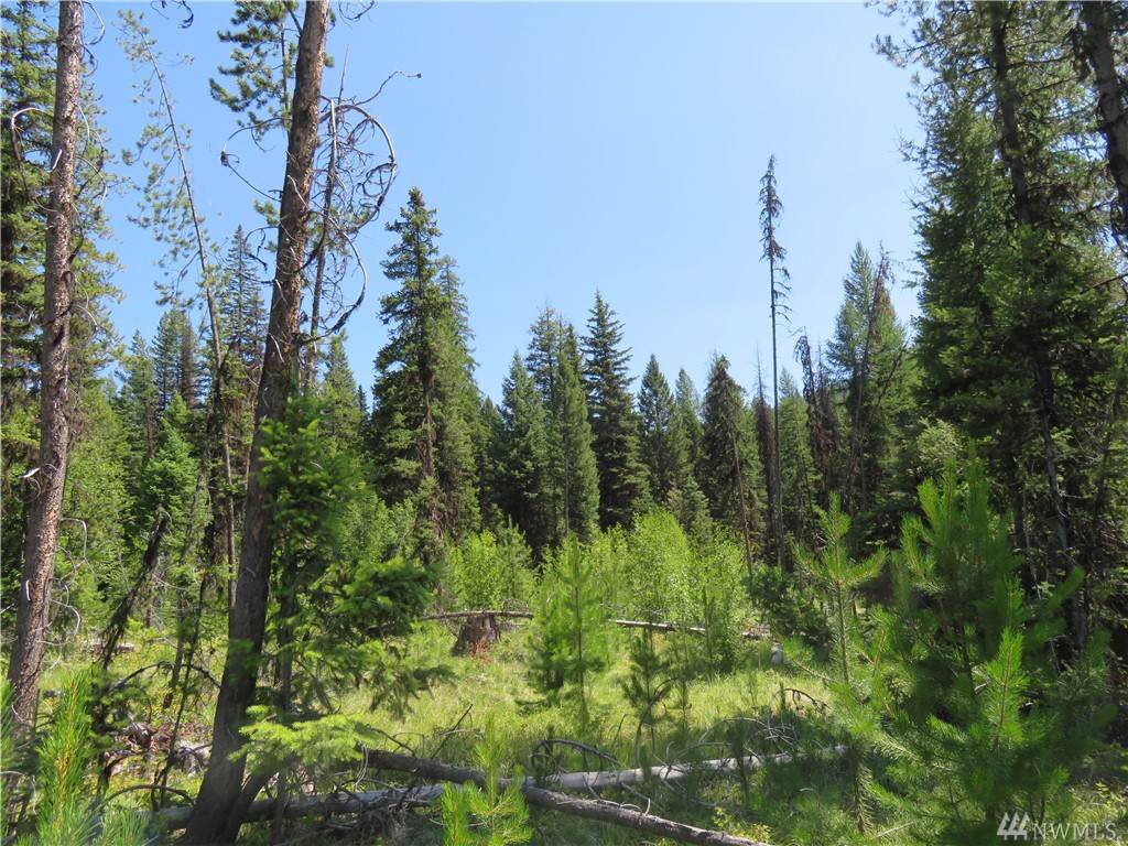0-TBD Turner Creek Rd - Photo 1