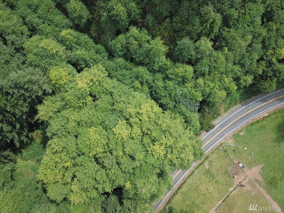 0-XX Altoona Pillar Rock Rd - Photo 1