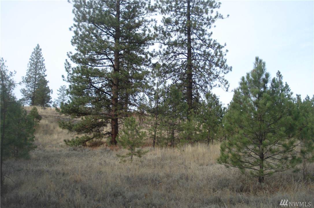 40-tbd Pasayten Vu Rd - Photo 1