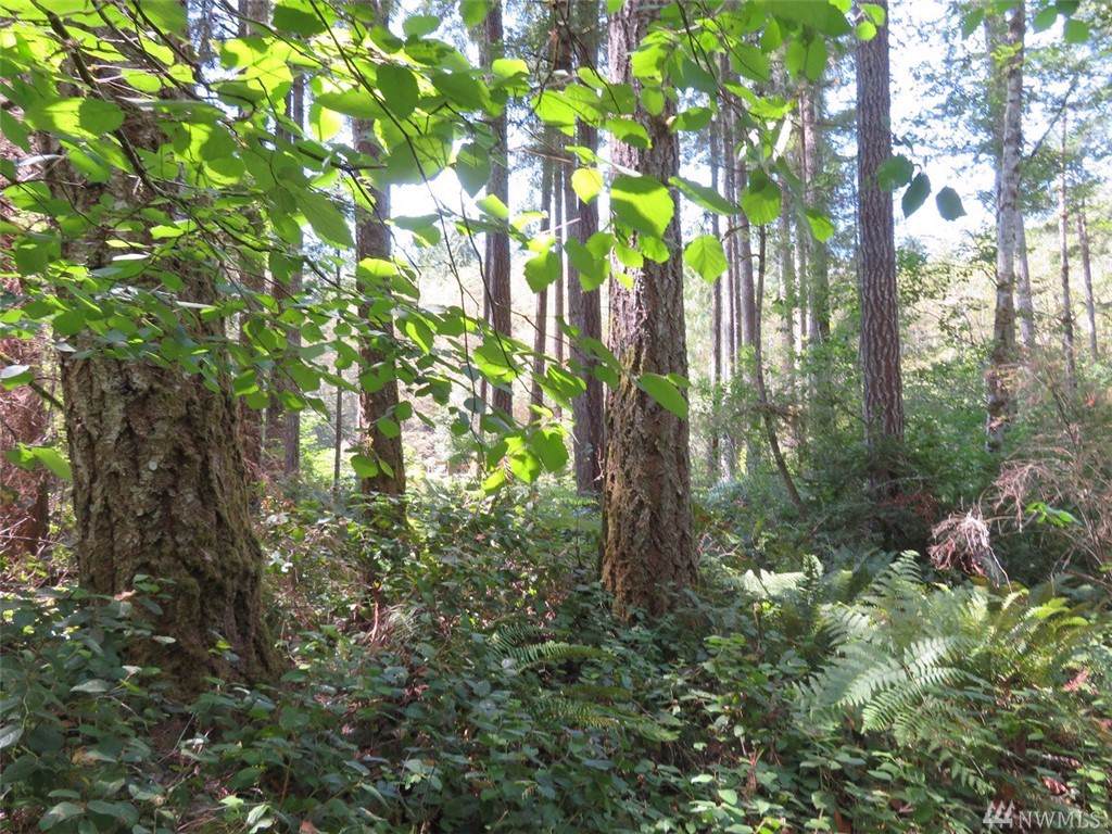 0-Lot 29 Rasor Place - Photo 1