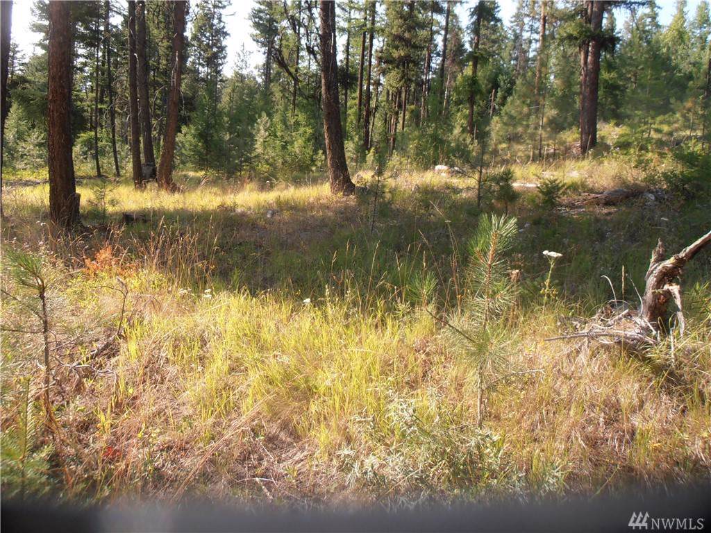 1-TBD Sumit Lake Rd - Photo 1