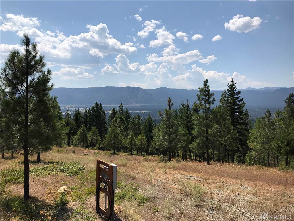 561 Big Sky Vista Dr - Photo 1