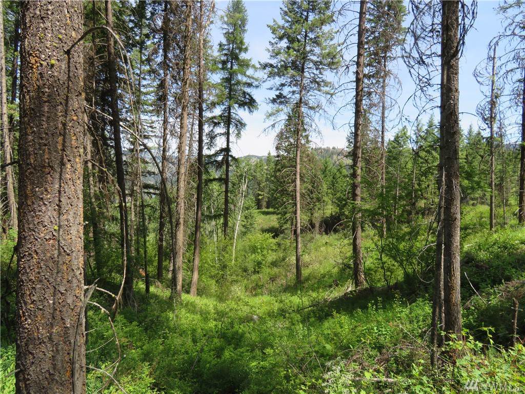 0-Lot 9 Boulder Creek Rd - Photo 1
