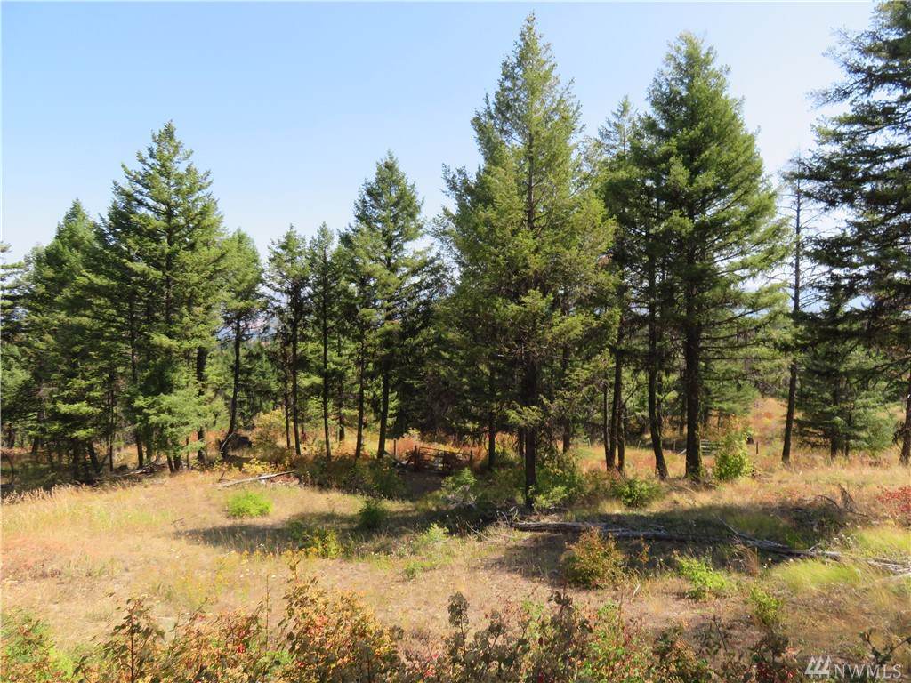 0-Lot 148 Union Ridge Rd - Photo 1
