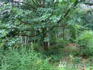 0-XX Bayview Dr - Photo 1