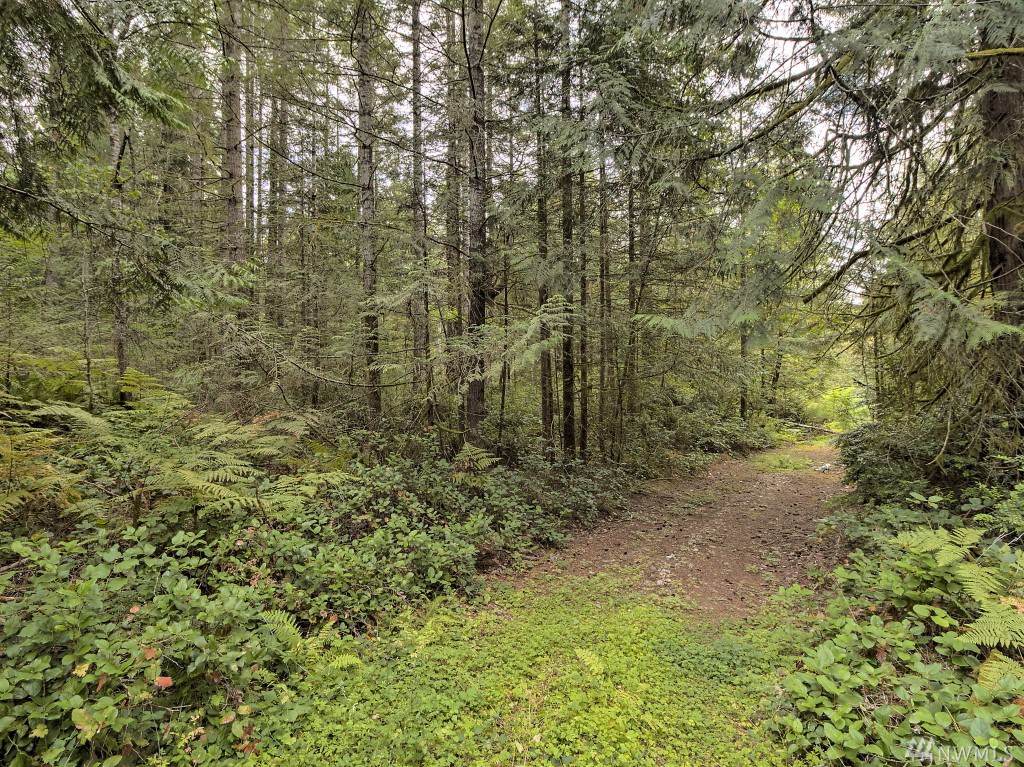 0 Durfey Lane - Photo 1