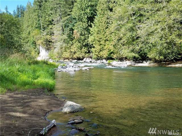 31603 298th Ave - Photo 1