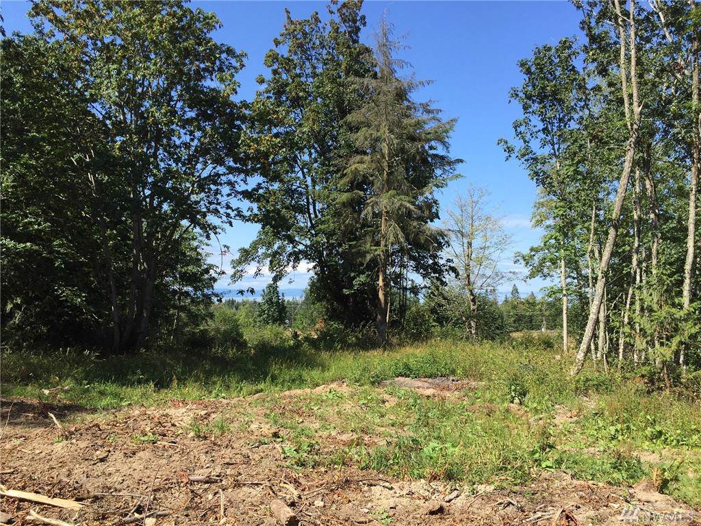 9999 Round Tree Rd - Photo 1