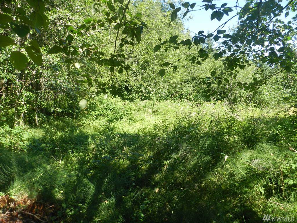 0 7th Ave - Photo 1