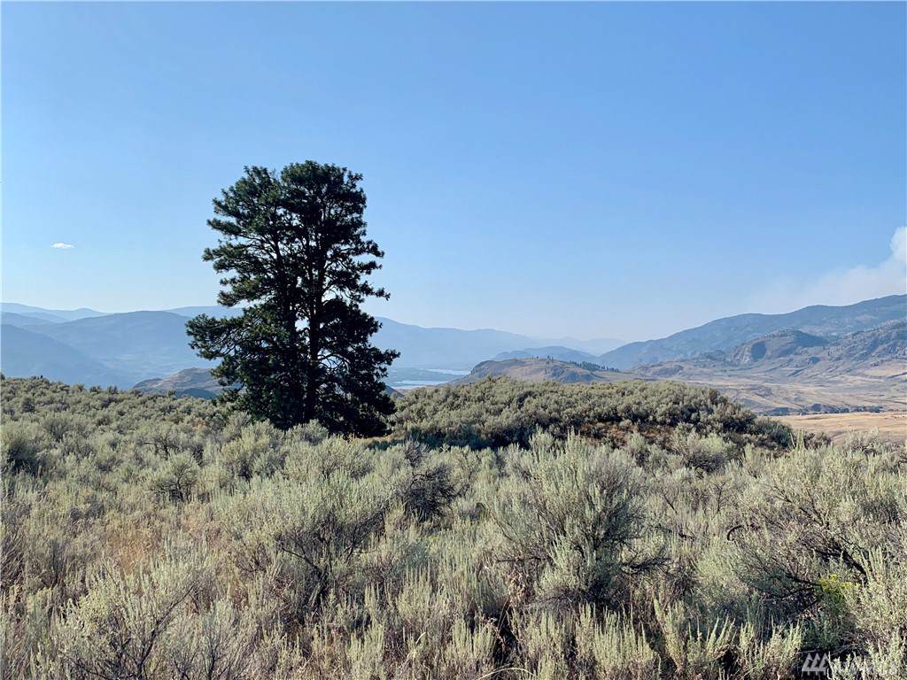 88 Gold Rush Ridge Rd - Photo 1