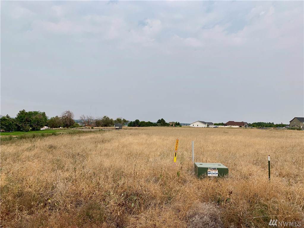 9512 Morgan Rd - Photo 1