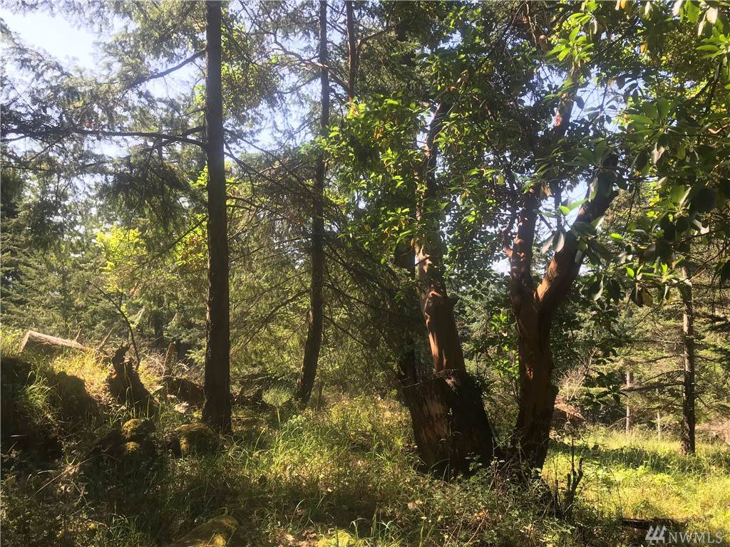 0 Rosario Rd - Photo 1